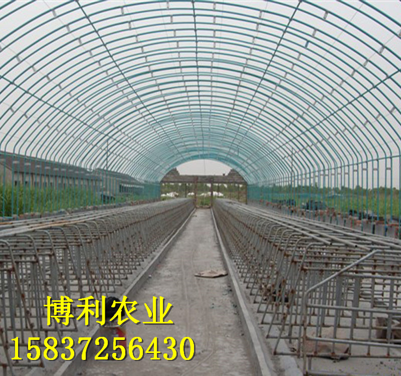 大棚蔬菜種植常見(jiàn)問(wèn)題詳解！